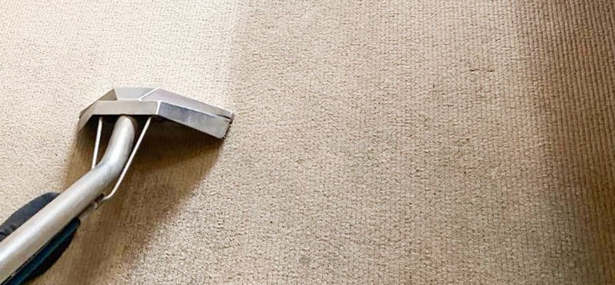 Why-Should-You-Hire-A-Professional-Carpet-Cleaning-Company