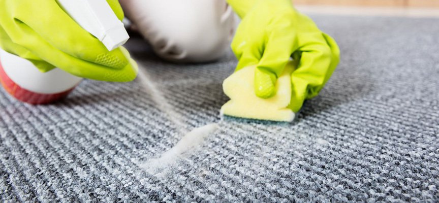 6-Carpet-Cleaning-Tips-For-Stain-Removal