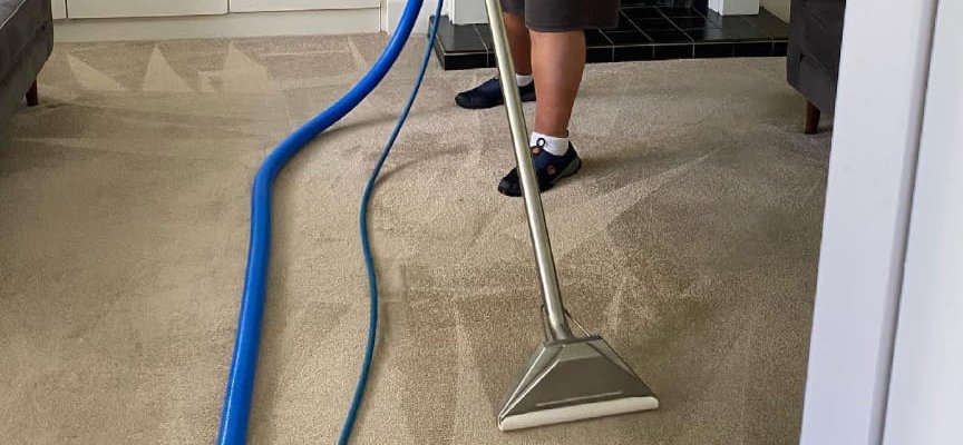 The-Role-Of-Carpet-Cleaning-In-Allergy-Management