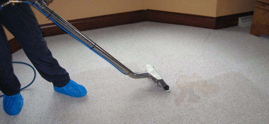 The Science Behind Allergen Removal In Residential Carpet Cleaning
