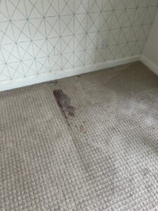 Stains-In-Carpets-Stain-Removal