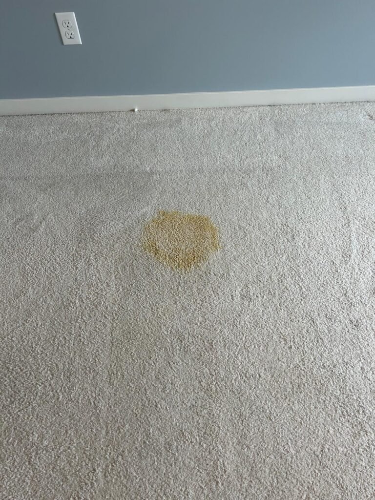 Stain-in-carpet