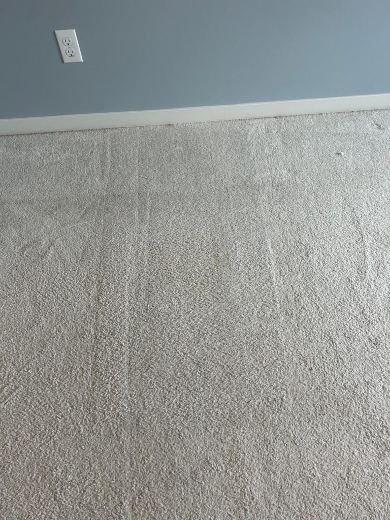 Stain-in-carpet-removal