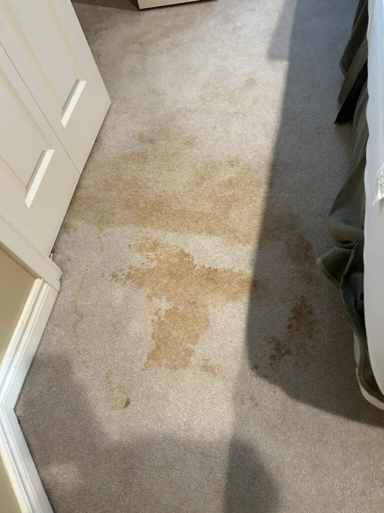 A-carpet-with-stains-and-how-to-remove-stains