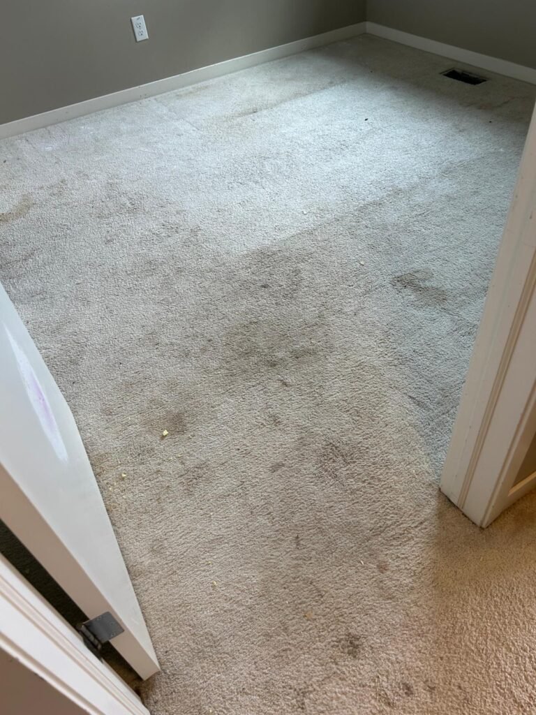 A-carpet-with-stains-and-how-to-remove-stains