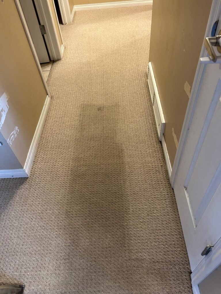 Difference-Between-Clean-And-Not-Cleaned-Carpets