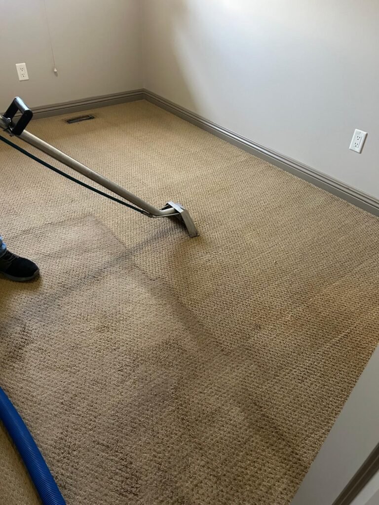 Professational-Carpet-Cleaning-With-Maple-Leaf-Carpet-Cleaning