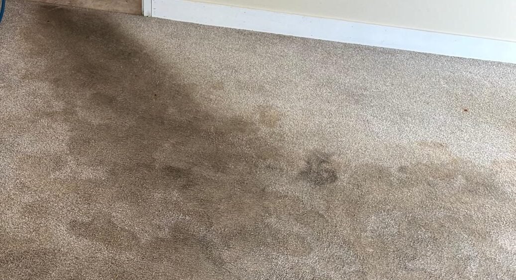 Top Mistakes to Avoid When Cleaning Your Carpet