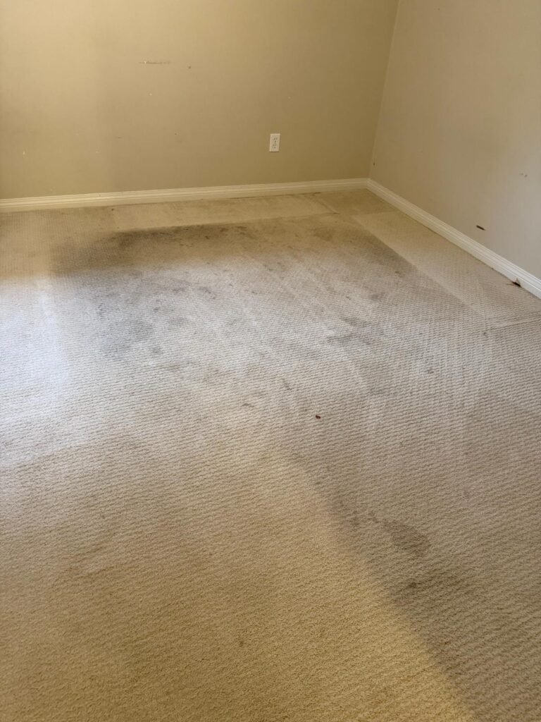 Winter-Carpet-Cleaning