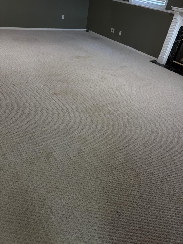 Clean-Carpets-Happy-Home