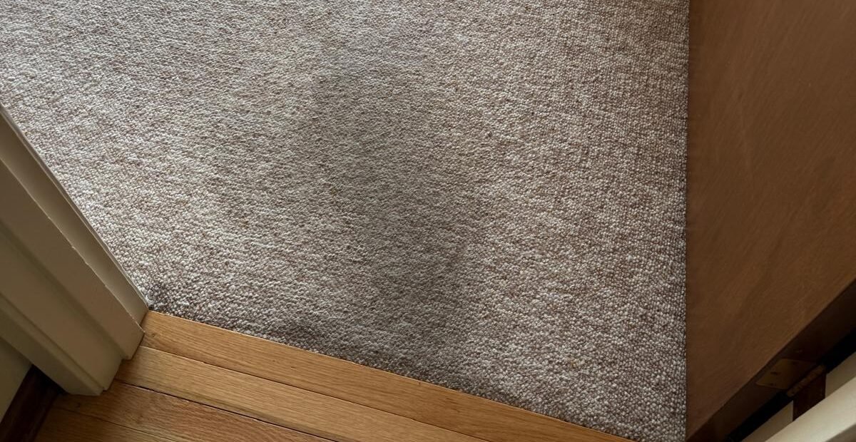 How Carpet Cleaning Can Reduce Stress and Improve Mental Well-Being