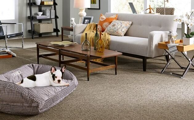 Healthy Home, Happy Family: How Clean Carpets Contribute to Better Indoor Air Quality