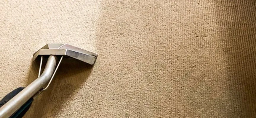 Carpet-Cleaning-For-Different-Flooring-Types-Challenges-And-Solutions