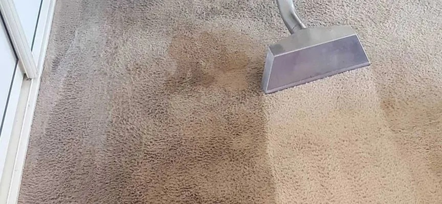 Carpet-Stain-Removal-For-Different-Types-Of-Stains-A-Comprehensive-Guide