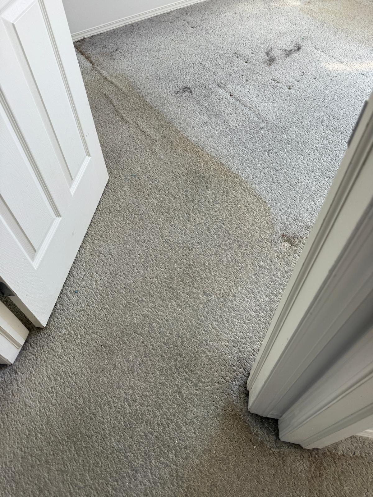 The-Hidden-Health-Benefits-of-Professional-Carpet-Cleaning
